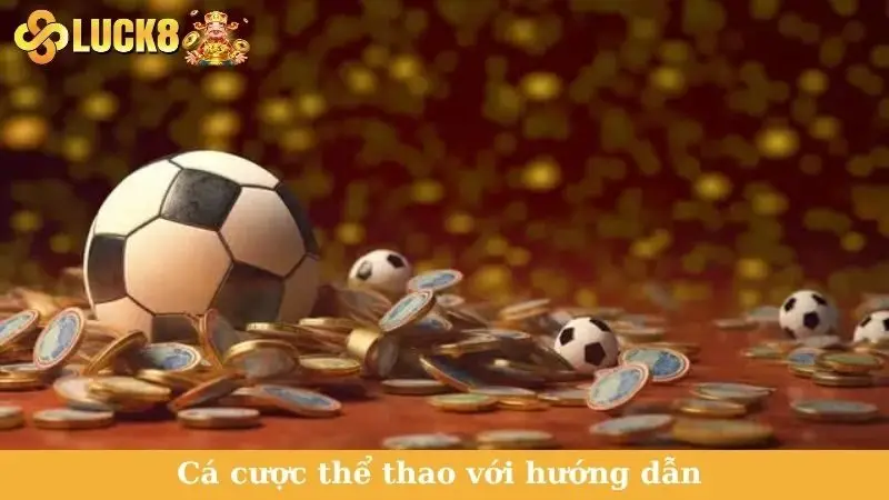 Cá cược thể thao với hướng dẫn chỉ