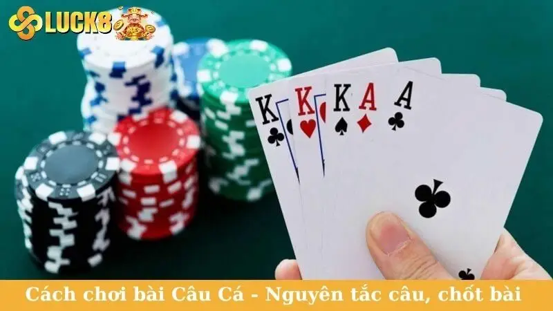 Cách chơi bài Câu Cá