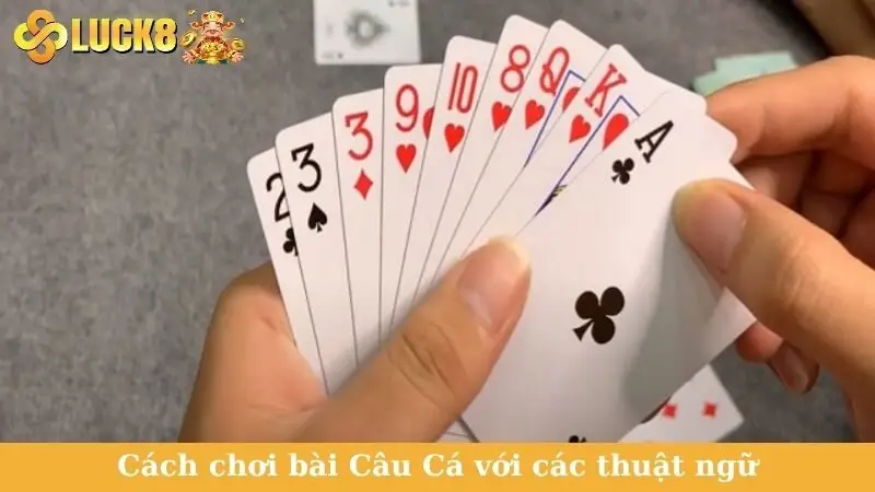 Cách chơi bài Câu Cá với các thuật ngữ