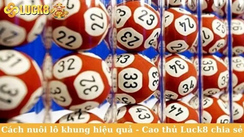 Cách nuôi lô khung hiệu quả