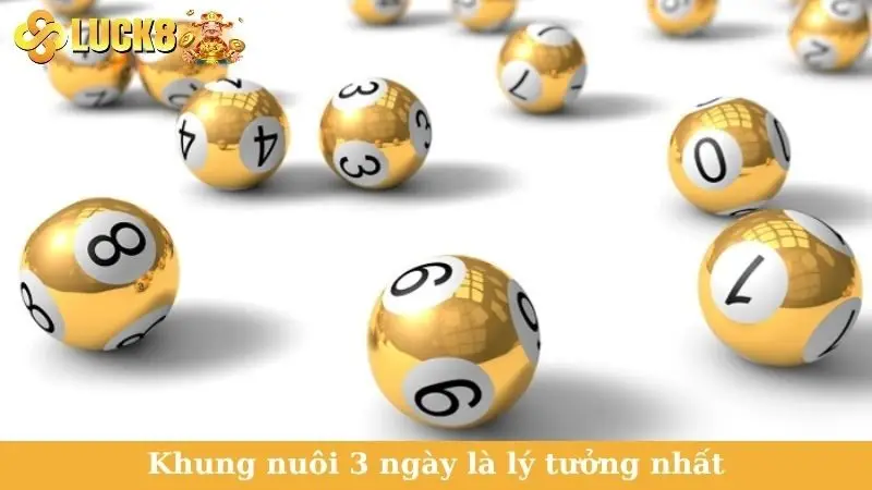 Khung nuôi 3 ngày là lý tưởng nhất