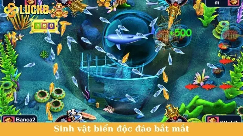 Sinh vật biển độc đáo bắt mắt