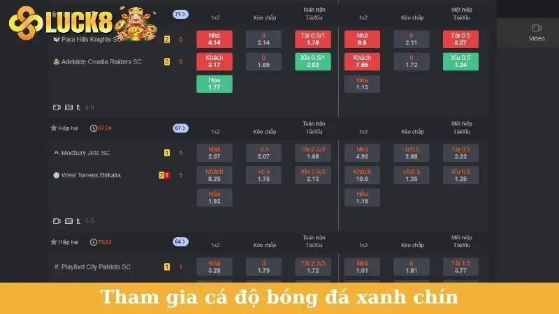 Tham gia cá độ bóng đá xanh chín